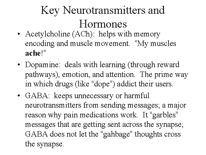 Key Neurotransmitters and Hormones • Acetylcholine (ACh): helps with memory encoding and muscle movement.