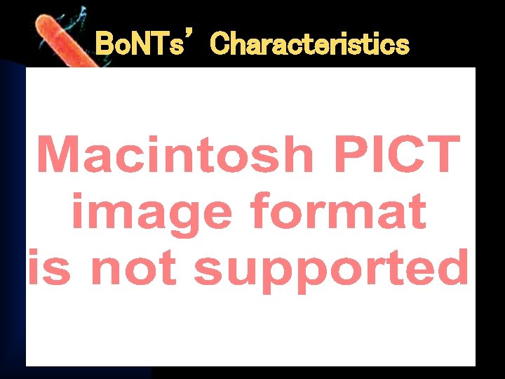 Bo. NTs’ Characteristics 