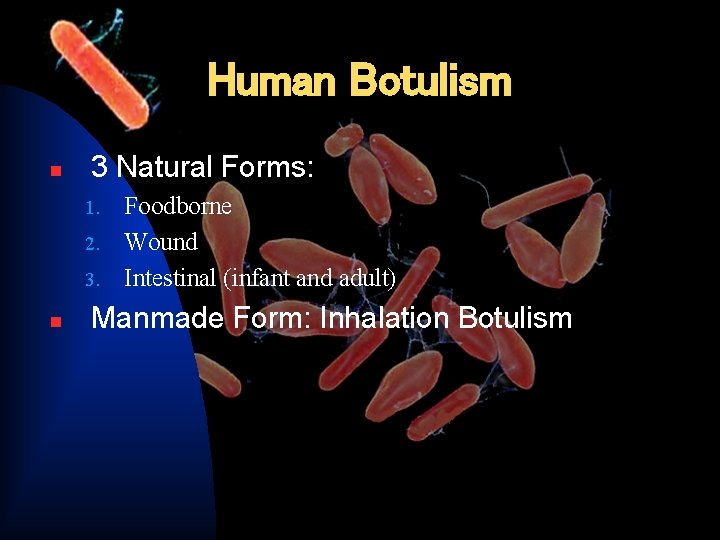 Human Botulism n 3 Natural Forms: Foodborne 2. Wound 3. Intestinal (infant and adult)