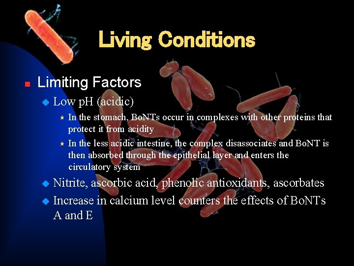 Living Conditions n Limiting Factors u Low p. H (acidic) In the stomach, Bo.