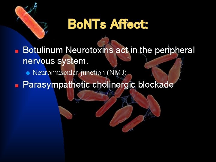 Bo. NTs Affect: n Botulinum Neurotoxins act in the peripheral nervous system. u n