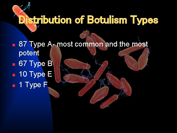 Distribution of Botulism Types n n 87 Type A- most common and the most