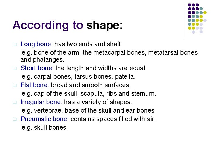 According to shape: q q q Long bone: has two ends and shaft. e.