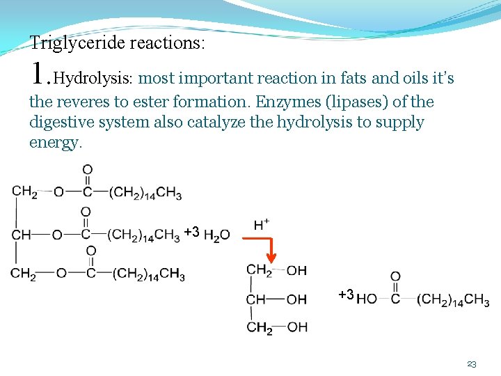 Triglyceride reactions: 1. Hydrolysis: most important reaction in fats and oils it’s the reveres