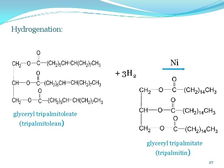 Hydrogenation: Ni + 3 H 2 glyceryl tripalmitoleate (tripalmitolean) glyceryl tripalmitate (tripalmitin) 27 