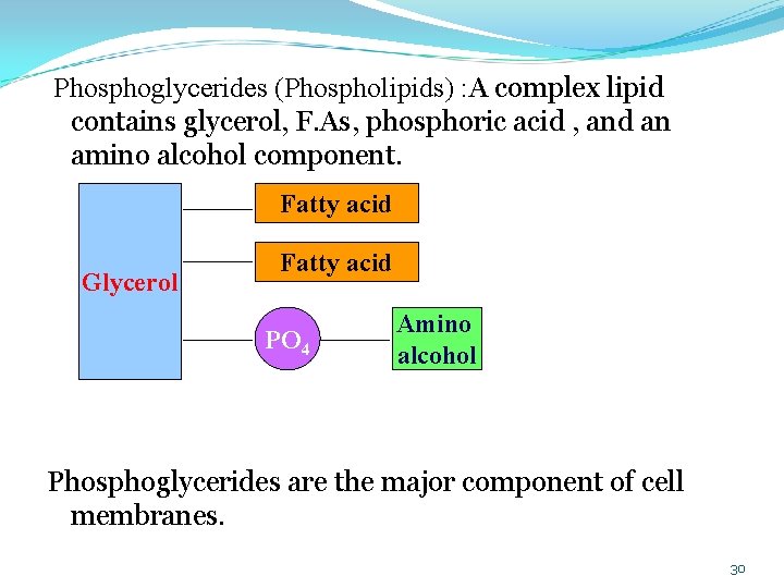  Phosphoglycerides (Phospholipids) : A complex lipid contains glycerol, F. As, phosphoric acid ,