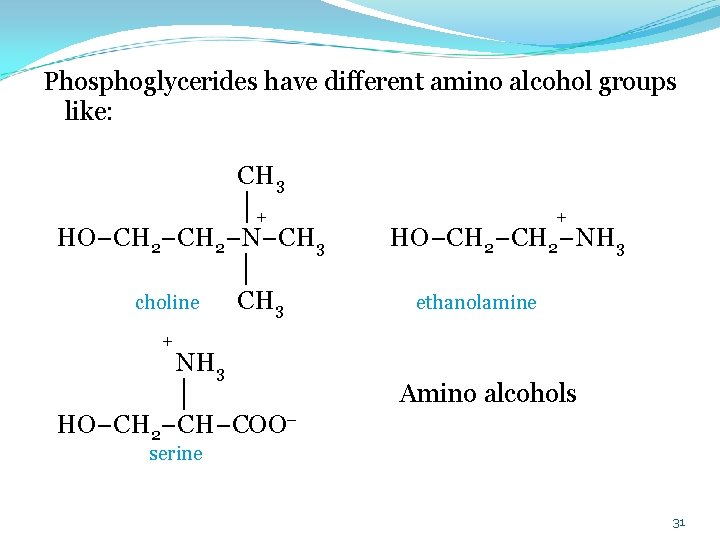  Phosphoglycerides have different amino alcohol groups like: CH 3 │+ + HO−CH 2−N−CH