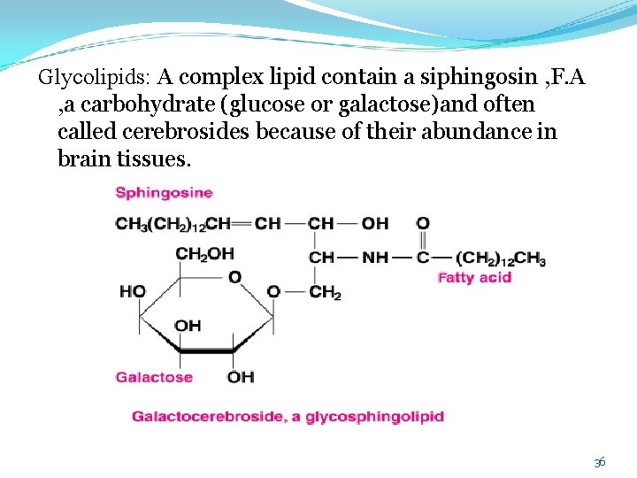 Glycolipids: A complex lipid contain a siphingosin , F. A , a carbohydrate (glucose
