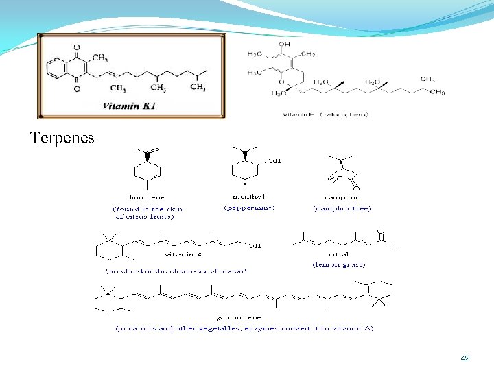 Terpenes 42 