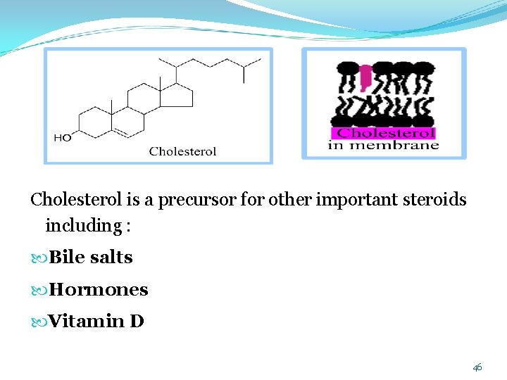  Cholesterol is a precursor for other important steroids including : Bile salts Hormones