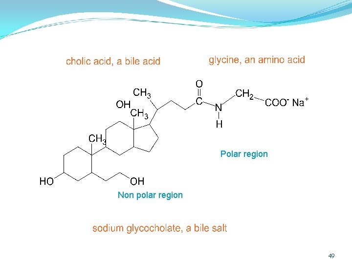 Polar region Non polar region 49 
