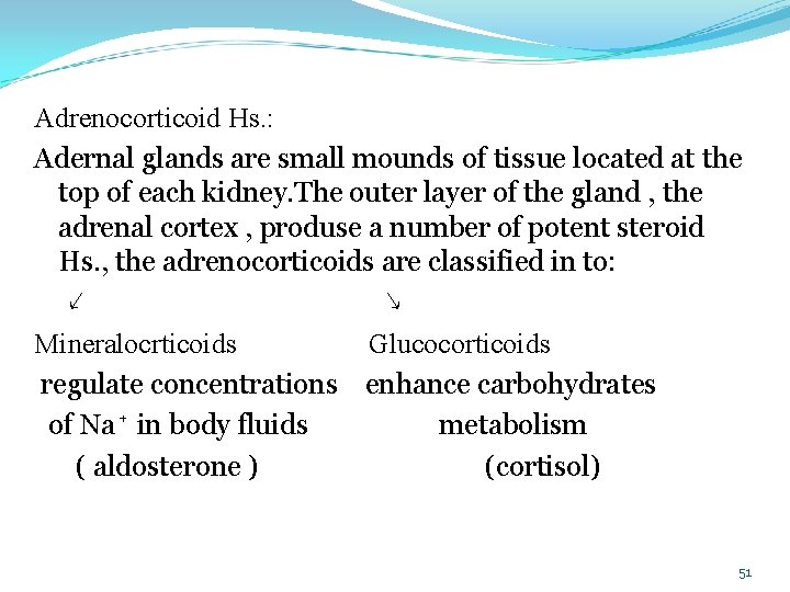  Adrenocorticoid Hs. : Adernal glands are small mounds of tissue located at the