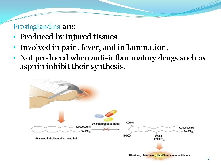 Prostaglandins are: • Produced by injured tissues. • Involved in pain, fever, and inflammation.