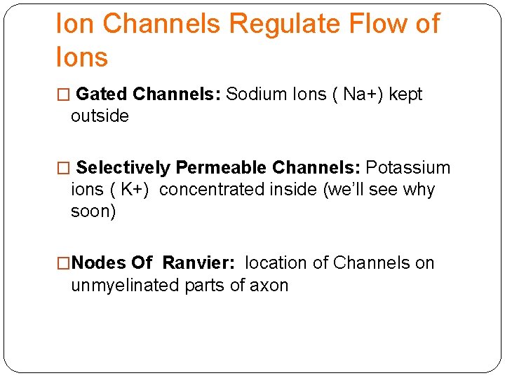 Ion Channels Regulate Flow of Ions � Gated Channels: Sodium Ions ( Na+) kept