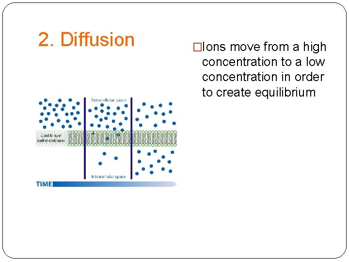 2. Diffusion �Ions move from a high concentration to a low concentration in order