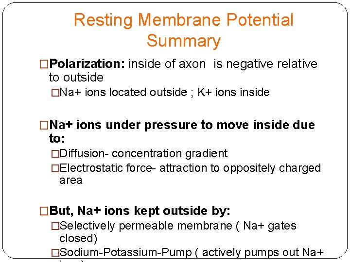 Resting Membrane Potential Summary �Polarization: inside of axon is negative relative to outside �Na+