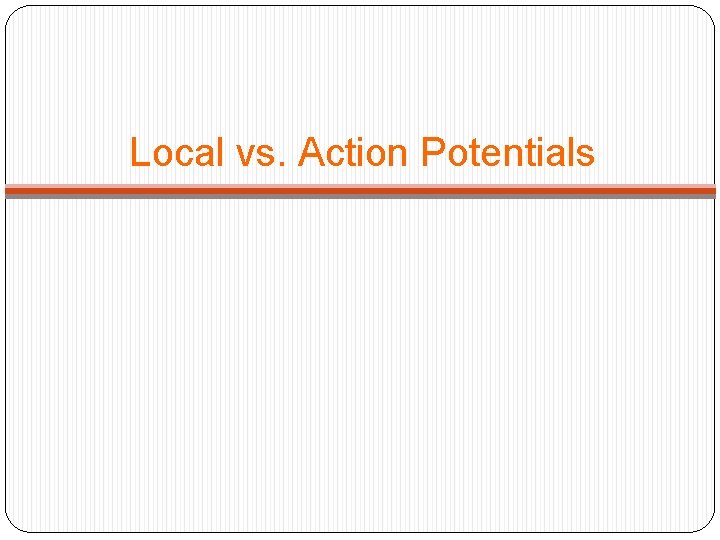 Local vs. Action Potentials 