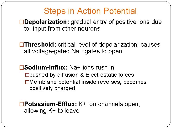 Steps in Action Potential �Depolarization: gradual entry of positive ions due to input from