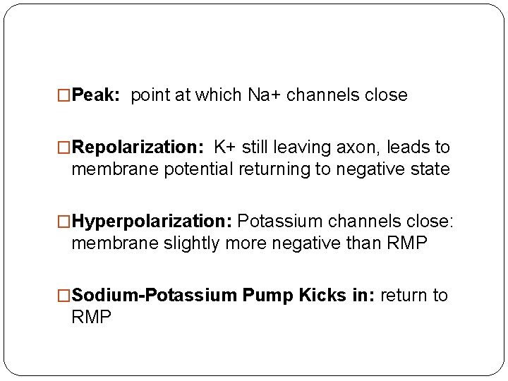 �Peak: point at which Na+ channels close �Repolarization: K+ still leaving axon, leads to