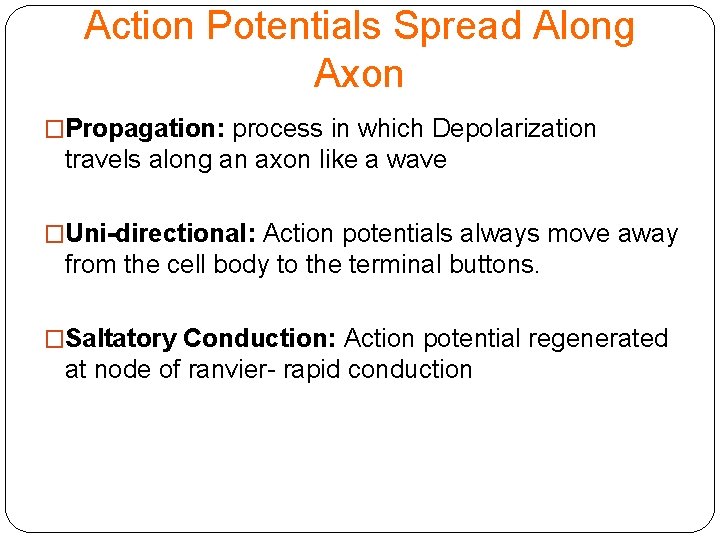 Action Potentials Spread Along Axon �Propagation: process in which Depolarization travels along an axon