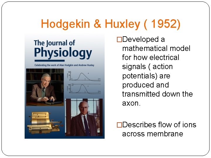 Hodgekin & Huxley ( 1952) �Developed a mathematical model for how electrical signals (
