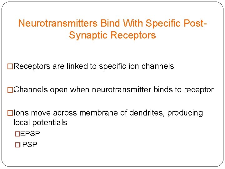 Neurotransmitters Bind With Specific Post. Synaptic Receptors �Receptors are linked to specific ion channels