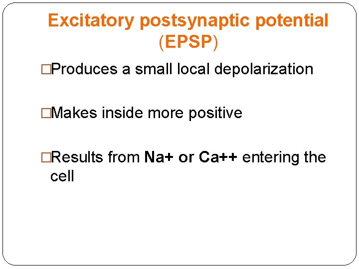 Excitatory postsynaptic potential (EPSP) �Produces a small local depolarization �Makes inside more positive �Results