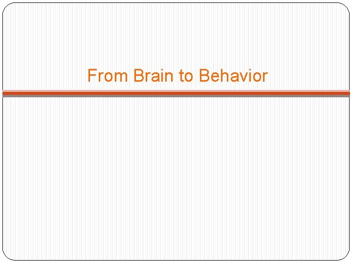From Brain to Behavior 