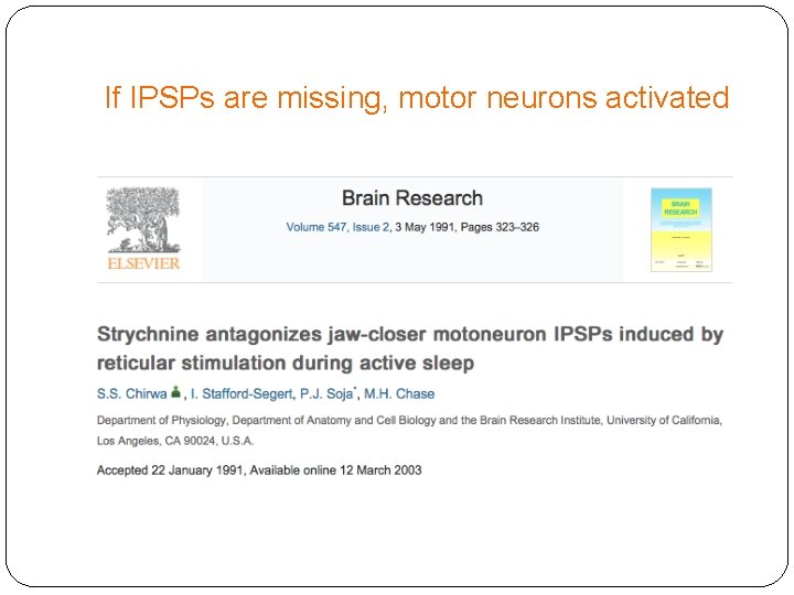 If IPSPs are missing, motor neurons activated 