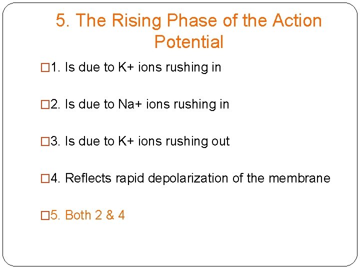 5. The Rising Phase of the Action Potential � 1. Is due to K+
