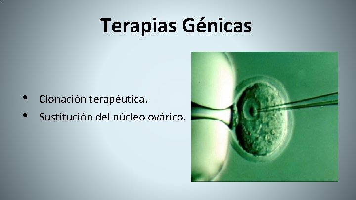 Terapias Génicas • • Clonación terapéutica. Sustitución del núcleo ovárico. 
