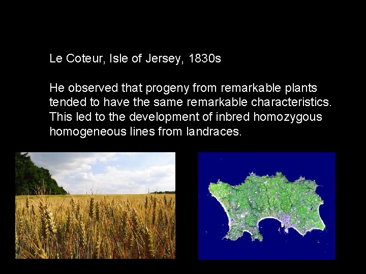 Le Coteur, Isle of Jersey, 1830 s He observed that progeny from remarkable plants