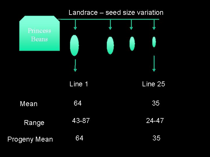 Landrace – seed size variation Princess Beans Line 1 Mean Range Progeny Mean 64