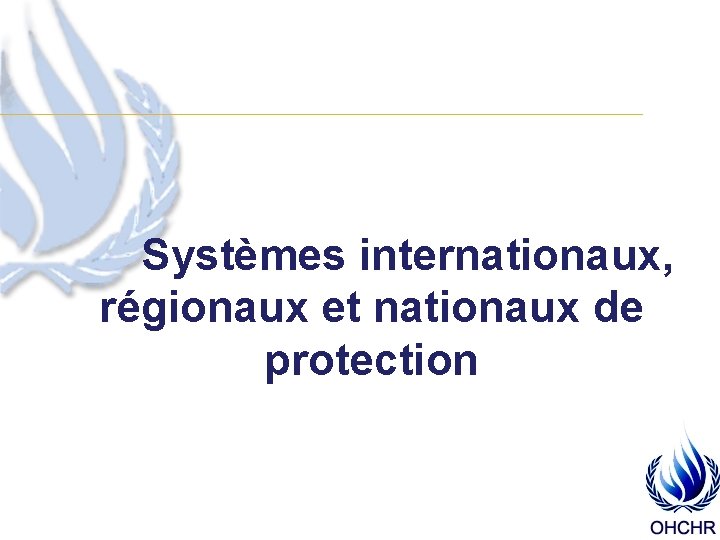 Systèmes internationaux, régionaux et nationaux de protection 