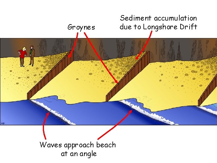 Groynes Waves approach beach at an angle Sediment accumulation due to Longshore Drift 