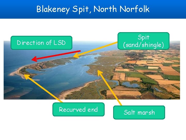 Blakeney Spit, North Norfolk Direction of LSD Recurved end Spit (sand/shingle) Salt marsh 