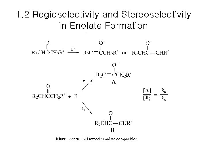 1. 2 Regioselectivity and Stereoselectivity in Enolate Formation 1. 2 Regioselectivity and Stereoselectivity in Enolate Formation