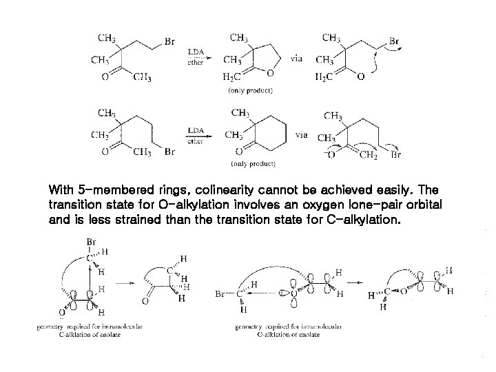With 5 -membered rings, colinearity cannot be achieved easily. The transition state for O-alkylation With 5 -membered rings, colinearity cannot be achieved easily. The transition state for O-alkylation