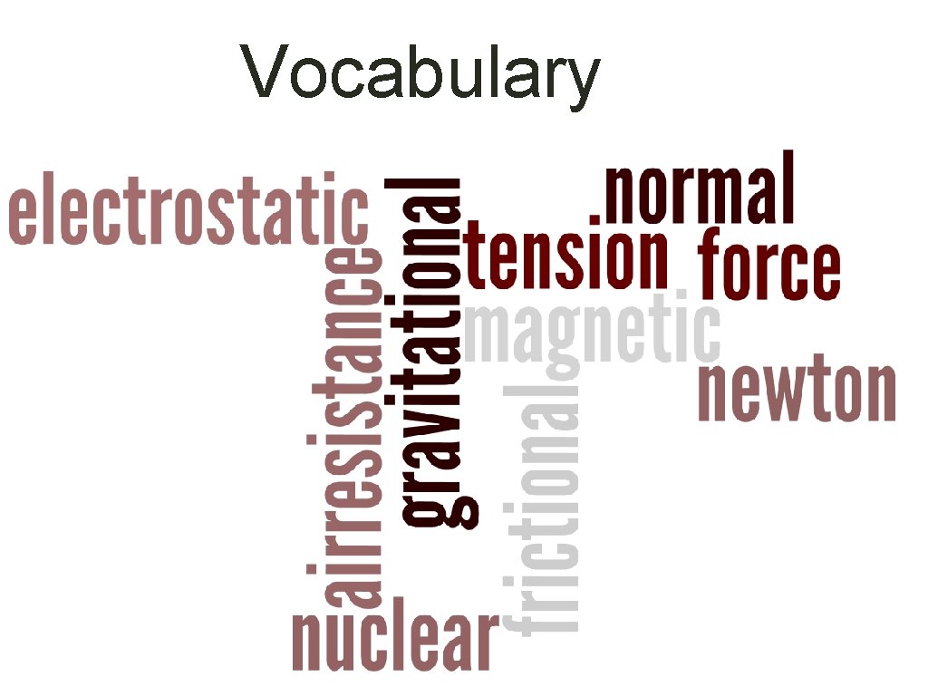Vocabulary 