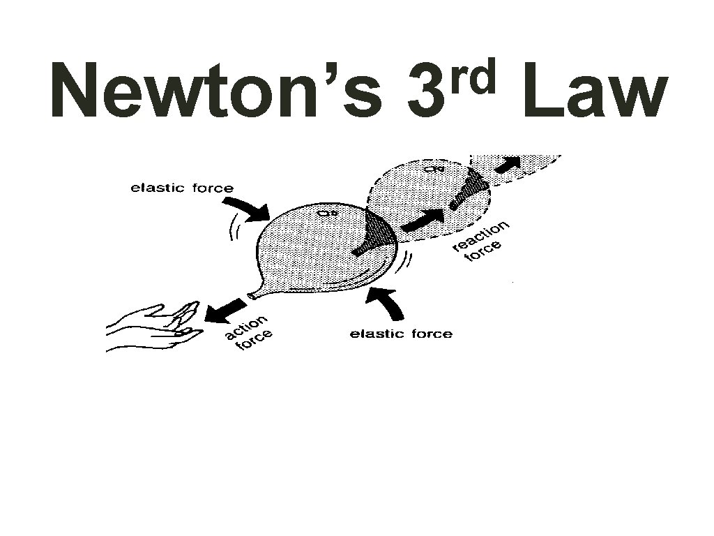 Newton’s rd 3 Law 
