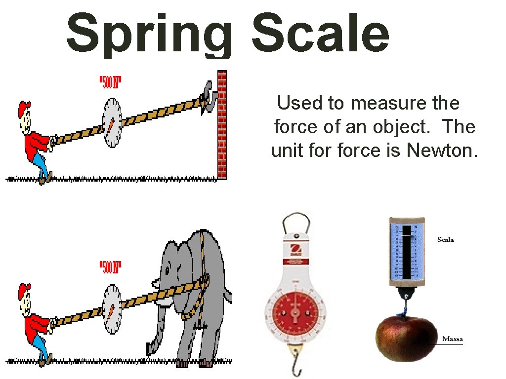 Spring Scale Used to measure the force of an object. The unit force is