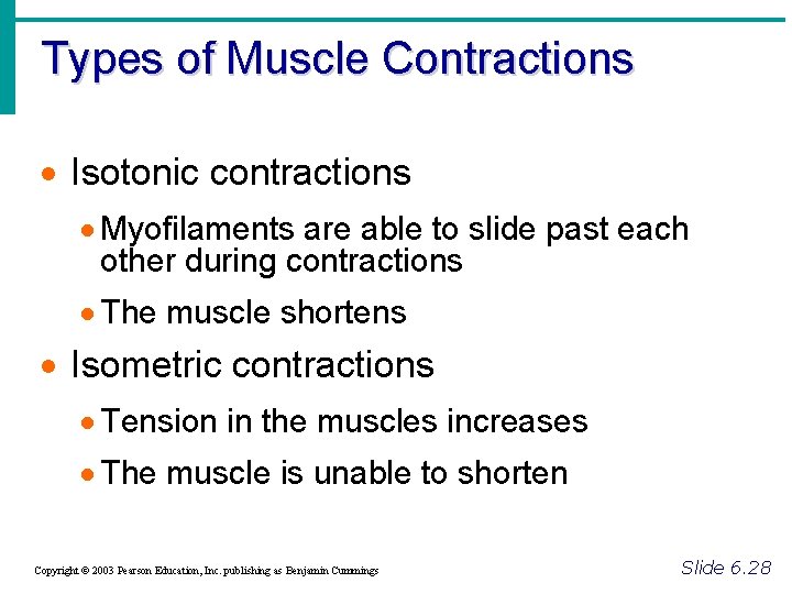 Types of Muscle Contractions · Isotonic contractions · Myofilaments are able to slide past