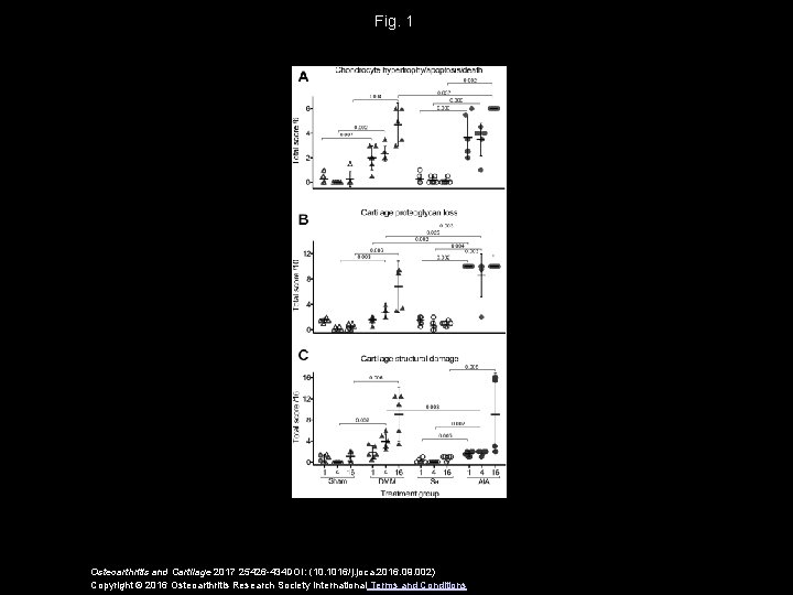 Fig. 1 Osteoarthritis and Cartilage 2017 25426 -434 DOI: (10. 1016/j. joca. 2016. 09.