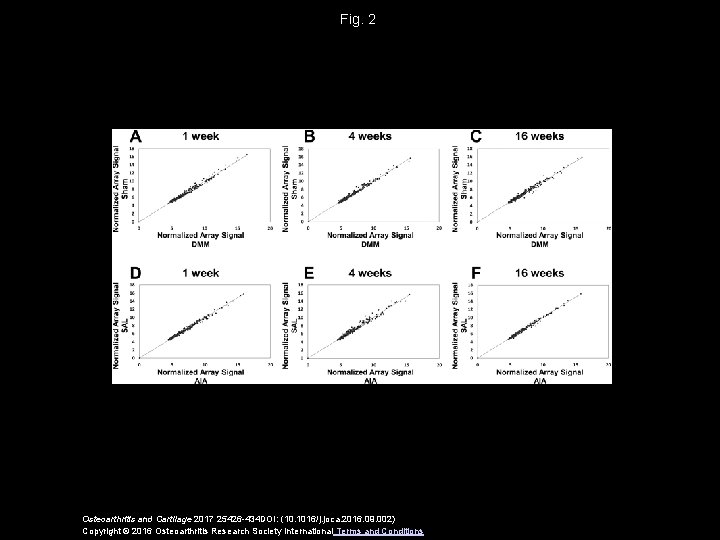 Fig. 2 Osteoarthritis and Cartilage 2017 25426 -434 DOI: (10. 1016/j. joca. 2016. 09.