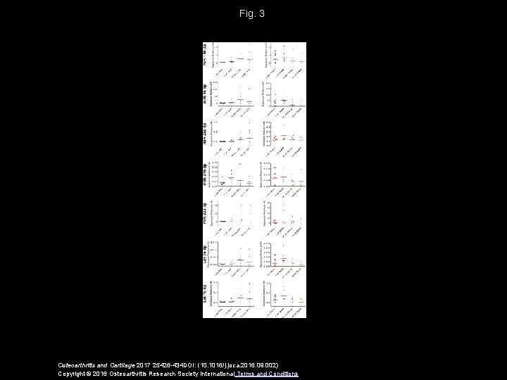 Fig. 3 Osteoarthritis and Cartilage 2017 25426 -434 DOI: (10. 1016/j. joca. 2016. 09.