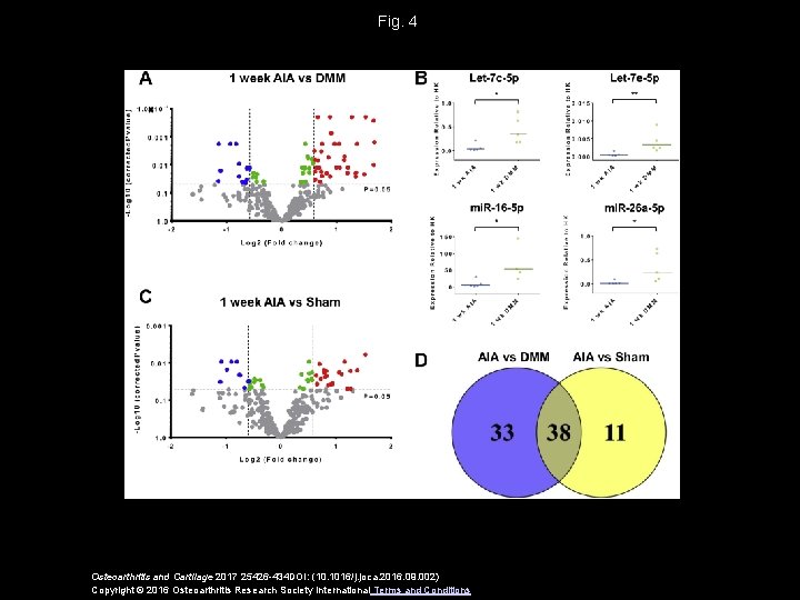 Fig. 4 Osteoarthritis and Cartilage 2017 25426 -434 DOI: (10. 1016/j. joca. 2016. 09.