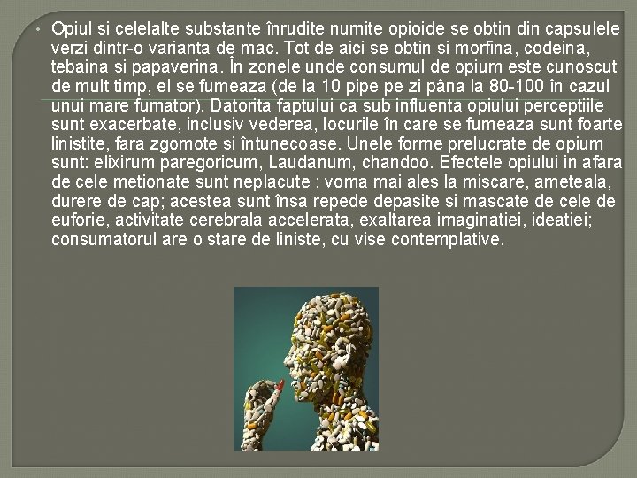 • Opiul si celelalte substante înrudite numite opioide se obtin din capsulele verzi • Opiul si celelalte substante înrudite numite opioide se obtin din capsulele verzi