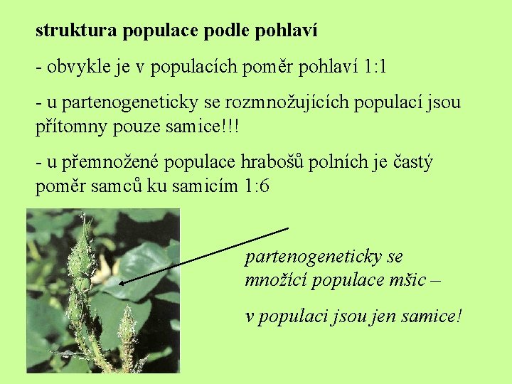 struktura populace podle pohlaví - obvykle je v populacích poměr pohlaví 1: 1 -