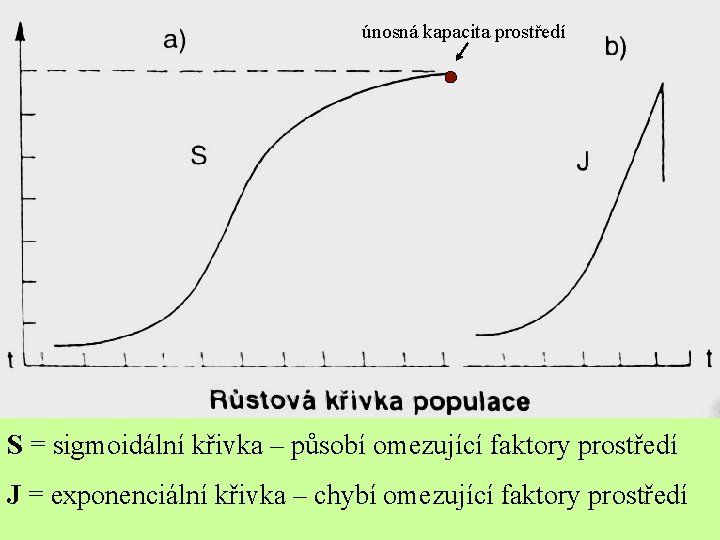 únosná kapacita prostředí S = sigmoidální křivka – působí omezující faktory prostředí J =