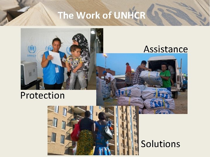 The Work of UNHCR Assistance Protection Solutions 